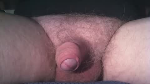 Snapshot of maxfax66 chatting on November 2025 02:39:01 PM McDickens online show from November 2025 02:39:01 PM