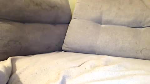 Snapshot of maximemax14 chatting on February 2026 08:18:01 PM maximemax14 online show from February 2026 08:18:01 PM