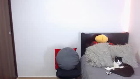 Independent Model online show from February 2026 02:51:02 AM