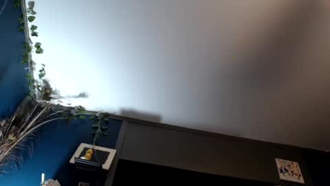 Max and Pam Voyeur Cam online show from February 2025 07:48:01 AM