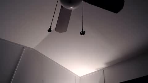 Max and Pam Voyeur Cam online show from November 2025 10:29:01 AM