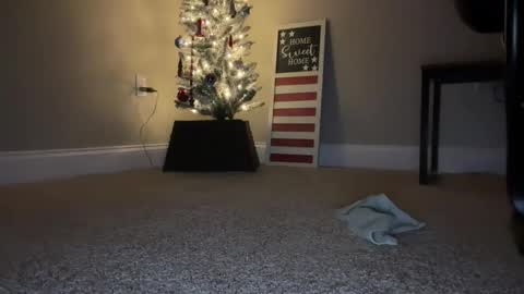 maxx276828 online show from November 2025 04:44:02 AM