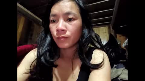 may_vietnamese online show from February 2026 11:31:01 PM