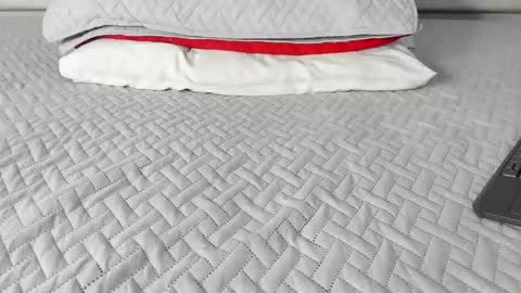 Maybelline69 online show from March 2026 02:34:01 PM