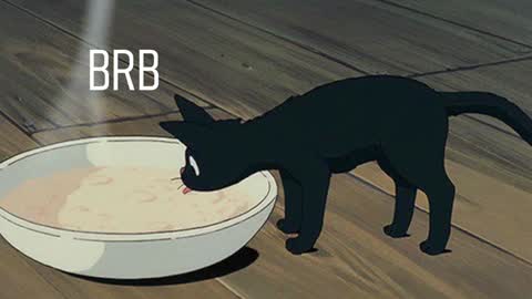 Mary  . online show from January 2025 09:24:02 AM