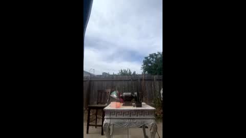 mcdanielx4209 online show from June 2026 11:20:01 PM