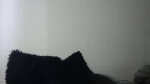 Megan and sophi online show from September 2025 09:37:02 PM