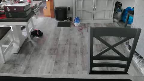 GlamTransGoddess online show from February 2025 10:42:01 PM