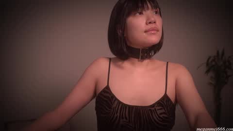 Snapshot of meganmei666 chatting on November 2025 02:54:02 AM for more 3 online show from November 2025 02:54:02 AM