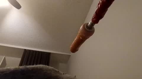 meheriuk68 online show from December 2025 12:16:02 AM