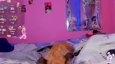 Snapshot of mejialuisa0142 chatting on March 2025 06:16:02 AM Luisa online show from March 2025 06:16:02 AM