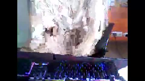 meks5544 online show from April 2026 11:15:01 AM