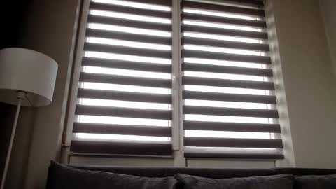 Melania online show from December 2024 11:53:01 AM