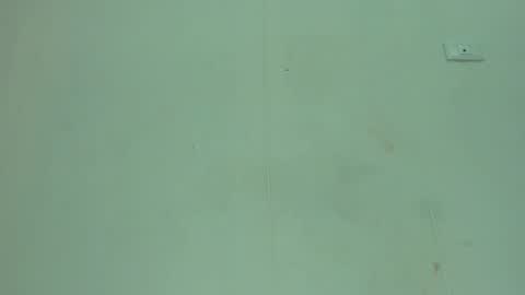 Snapshot of melania_browis chatting on May 2026 03:41:01 PM Melania online show from May 2026 03:41:01 PM