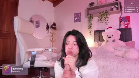 Snapshot of melanie_owo chatting on December 2024 04:17:01 PM Melanie online show from December 2024 04:17:01 PM