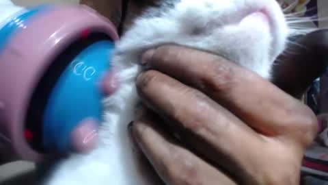 melany online show from November 2025 08:54:01 PM