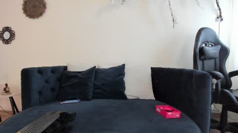 Meli online show from June 2026 06:31:02 PM
