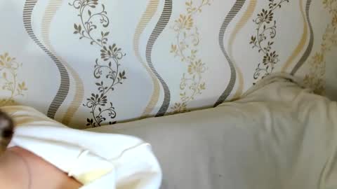 Snapshot of melmooon chatting on October 2025 08:20:02 PM MelMooon online show from October 2025 08:20:02 PM