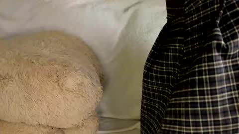 MelMooon online show from March 2026 07:40:02 PM