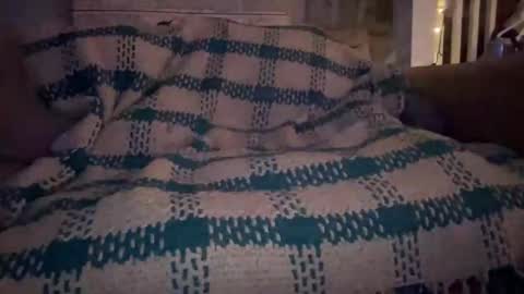 melt13 online show from September 2025 09:20:02 AM