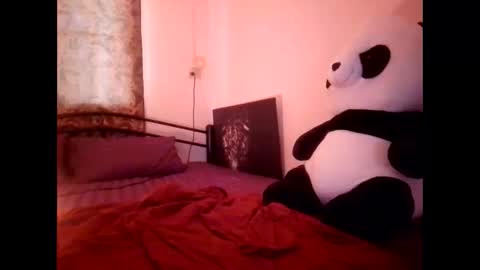 Merry online show from February 2026 05:12:01 AM