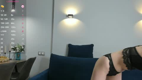 Snapshot of mendaciouss chatting on December 2024 02:31:02 PM Hello My name is Lily online show from December 2024 02:31:02 PM