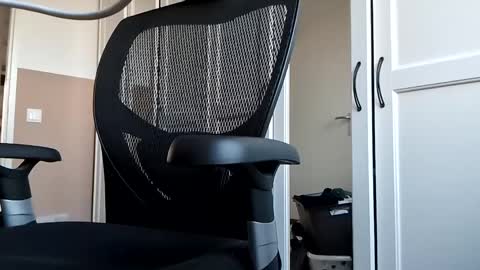 DutchFun Cock online show from March 2025 04:41:01 PM