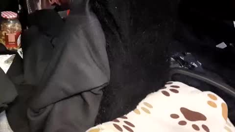 Snapshot of menyy666 chatting on January 2025 04:16:02 AM Giorggio Fragacci online show from January 2025 04:16:02 AM