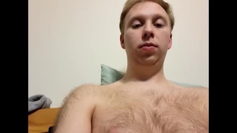 meow732 online show from November 2025 02:01:01 AM