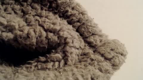 Mauro online show from February 2025 05:37:01 PM