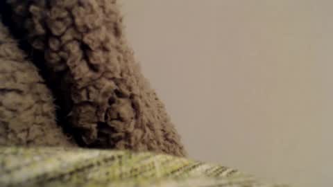 Mauro online show from February 2025 11:37:02 PM