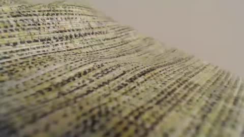 Mauro online show from February 2025 08:52:02 PM