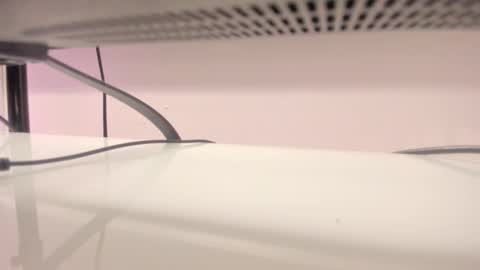    online show from January 2026 12:08:02 PM