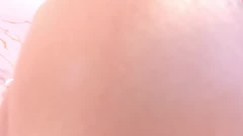    online show from January 2026 12:29:02 PM