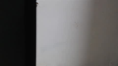 Snapshot of mia_sepulveda chatting on January 2025 04:02:02 AM Mia Sepulveda online show from January 2025 04:02:02 AM