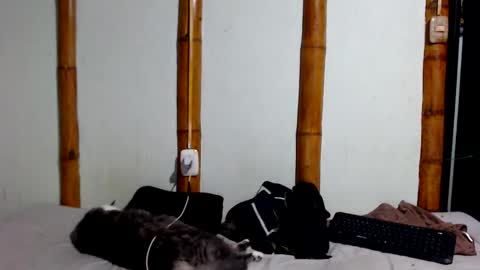 Mia  Sam online show from January 2026 11:41:02 PM