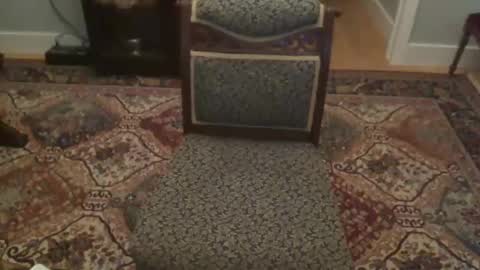 miamiwrestler online show from December 2025 02:41:02 AM