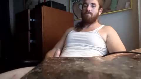 Snapshot of michaeljp1234 chatting on October 2025 09:35:02 AM Hairy Toppins 4U online show from October 2025 09:35:02 AM
