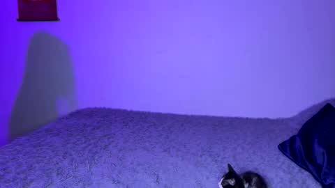 michellepetitte online show from April 2026 01:58:01 AM