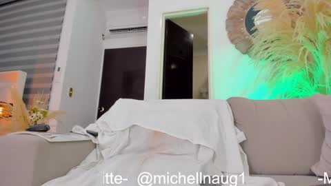 Snapshot of michellnaug chatting on February 2025 06:01:02 AM MICHELNAUG    online show from February 2025 06:01:02 AM