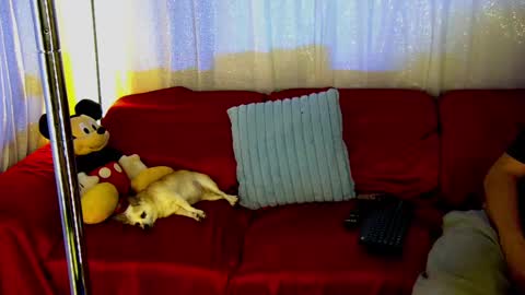 Mickey online show from February 2025 12:43:01 AM