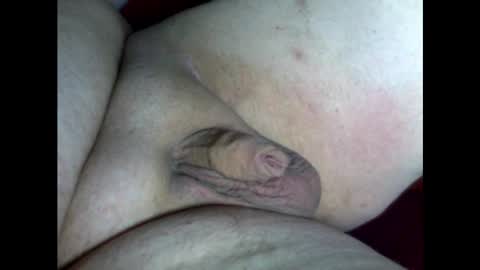 micropimmel online show from February 2025 05:21:01 PM