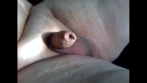 micropimmel online show from September 2025 04:51:02 PM