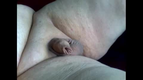 micropimmel online show from September 2025 03:02:01 PM