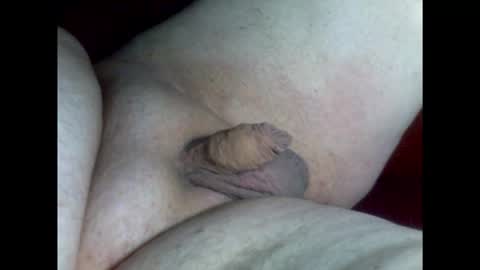 micropimmel online show from February 2026 07:51:01 PM