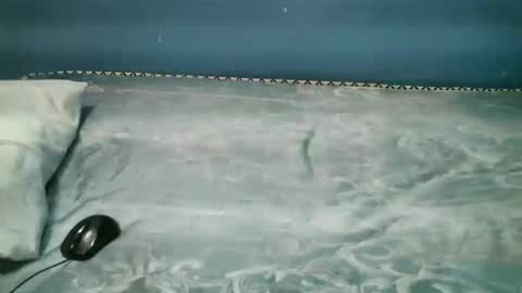 Caddy online show from November 2025 08:00:01 PM