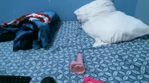 Caddy online show from March 2026 08:12:01 PM