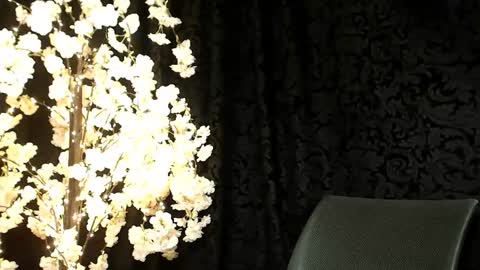 Mika online show from December 2024 09:57:02 AM