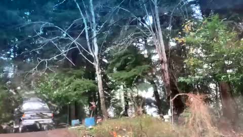 Snapshot of mikeblair5081 chatting on December 2025 07:55:01 PM mikeblair5081 online show from December 2025 07:55:01 PM