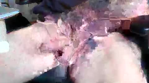 Snapshot of mikefun4711 chatting on October 2025 08:29:02 AM mikefun4711 online show from October 2025 08:29:02 AM